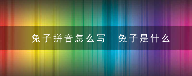 兔子拼音怎么写 兔子是什么拼音